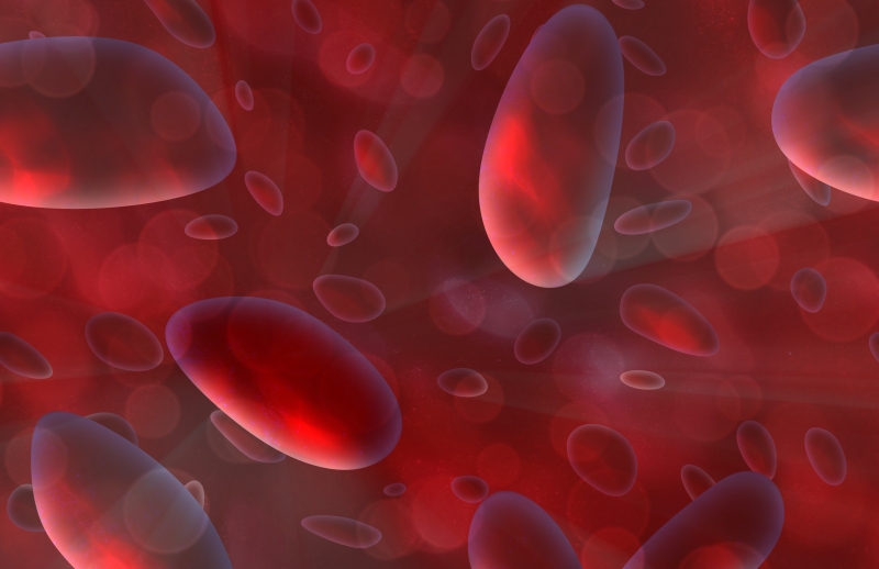 Röda blodceller